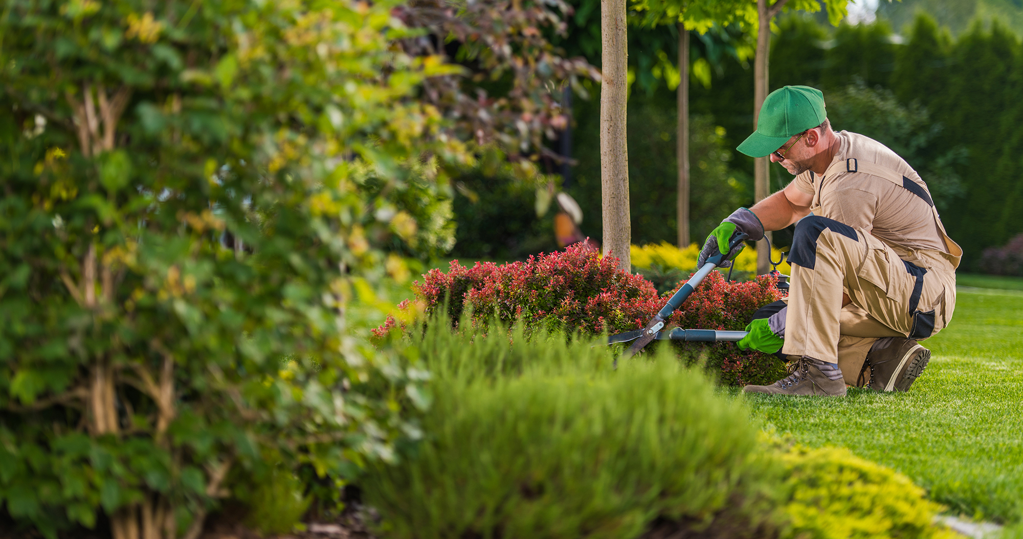 landscaper at work